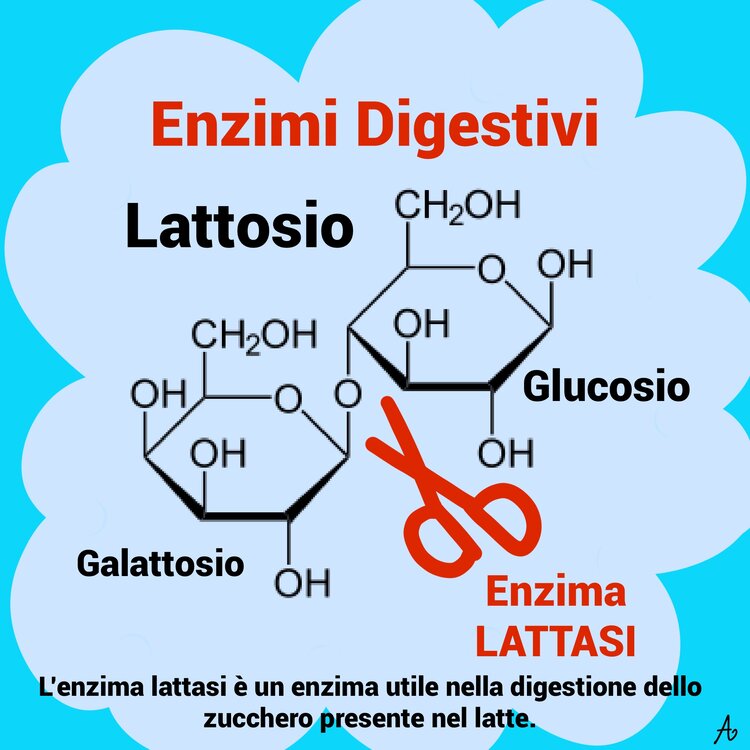 lattosio2